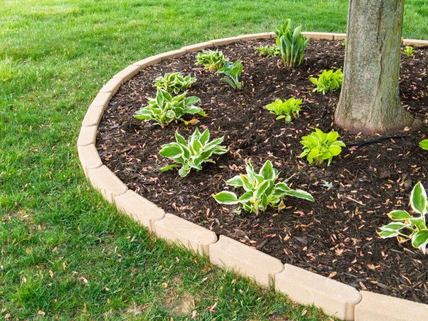Stone Border Installation in Fayetteville